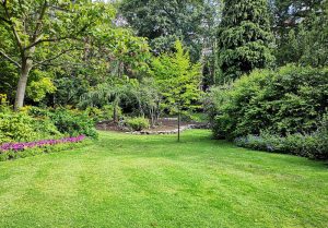 Optimiser l'expérience du jardin à Rozoy-Bellevalle